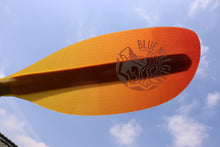 画像をギャラリービューアに読み込む, PackPaddle4P -S (2024Ver.)